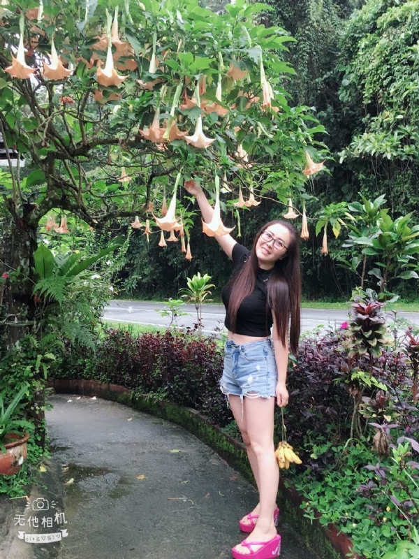 离异单身无子的第二张照片--宁德交友网